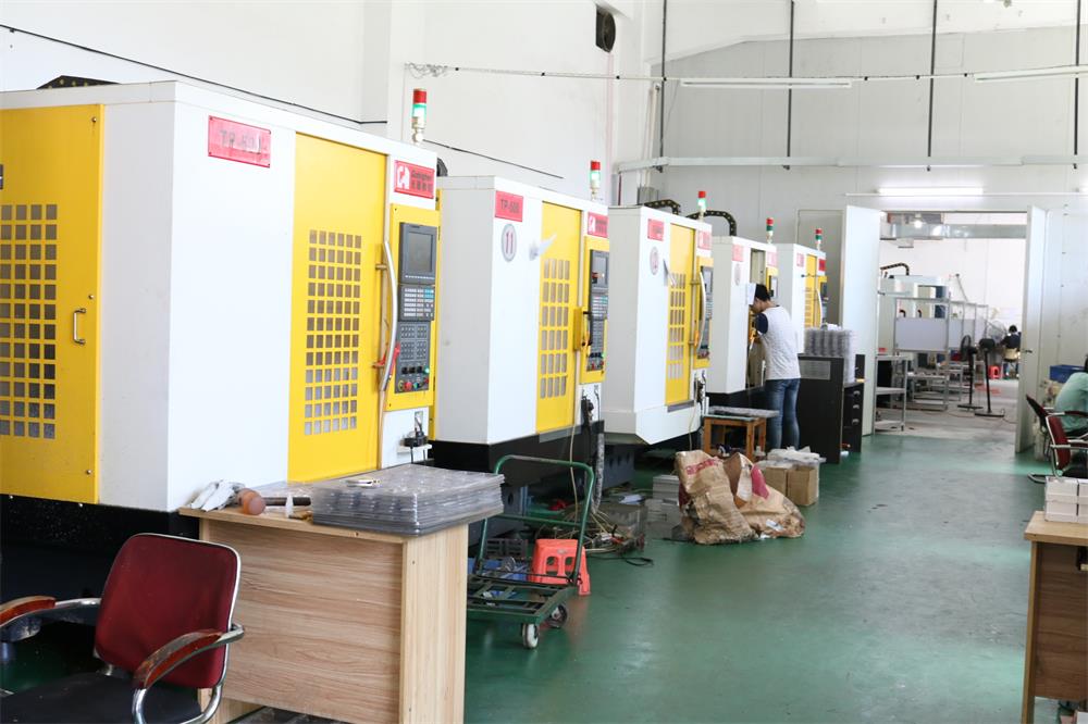 IMG_4990-1000 IMG_4990-1000